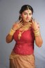 sneha-09.jpg