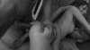 20633.gif