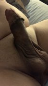 IMG_3490.jpeg
