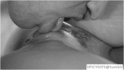 331.gif
