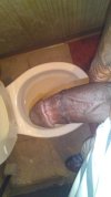 IMG_20241110_043858.jpg