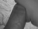 55.gif