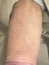 IMG_2386.jpeg