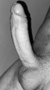 IMG_1172.jpeg