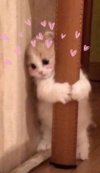 IMG_4062.jpeg
