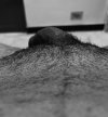 IMG_2535.jpeg