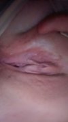 IMG_20251225_131116_361.jpg