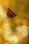 FB_IMG_1631201110614.jpg