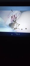 9..jpg