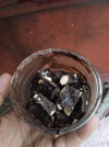 1771076364004.png