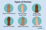 types-of-penis-5188478-eeb1643fd2804389af28c55ef92230dd.jpg