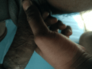 GIF_20260425_181517.gif