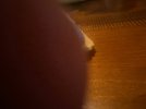 33EE88FE-1E72-41EE-95CD-73EBB939D1F9.jpeg