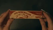 bqn378r4_one-wish-willow-from-obsession_625x300_03_June_26.webp