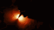 fire-writing.gif fire-writing.gif