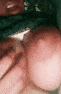 1000349009.gif