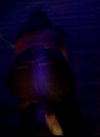 IMG_6949.jpeg