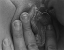 f61a97c077bd17389f7c7e0b3cfb539c0e073eb3bdc381c3.gif