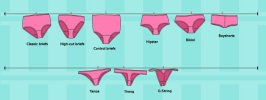 Panty-cyclopedia-An-Insight-Study-Of-Panties.jpg