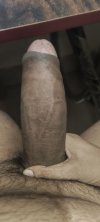 1000036091.jpg