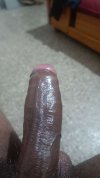 IMG_1906.jpeg