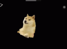 user15901634_f0467f6f8555.gif