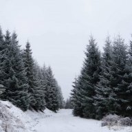 Windsofwinter