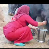 Pam-kaur