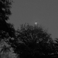 neoxy3
