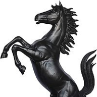 TheBlackStallion