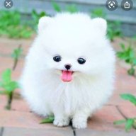 Cute_Ishu