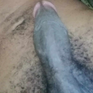 Sixdogyi