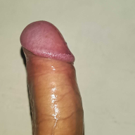 SnapBuddy