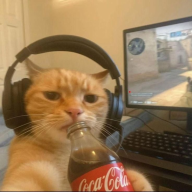 faizz06