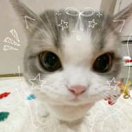 Myshkin