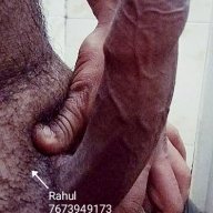 Delhibullpalam4real
