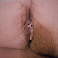 Jameskutty