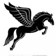 WonderHorse