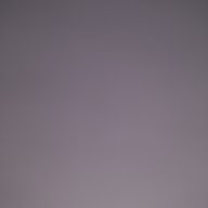 Sheikh_
