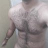 Hairy_bull