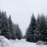 Windsofwinter