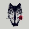 SilverWolf
