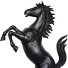 TheBlackStallion