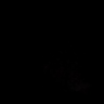 Randibaaz69