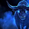 Big_bull_44