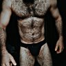 BlackCock_Musbull