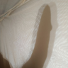 HornyHard690