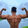 hunk__bull