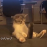 sexylty
