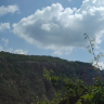 rohan4503